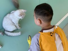 -怪兽屋·羊驼·猫咖·狗咖(俊华广场店)