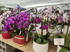 -SM城市广场(扬州店)