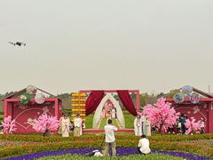 -金卉庄园