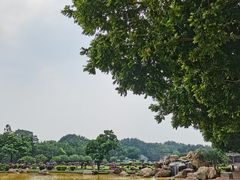-广东圆玄道观