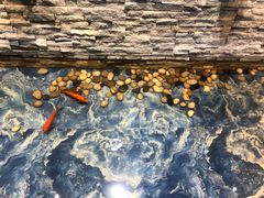 -老船长海鲜加工店(景苑山水店)