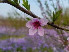 -白沙门生态公园