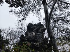 -何园
