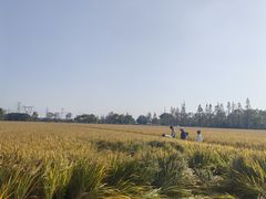 -嘉北郊野公园