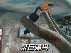 -石家庄市动物园