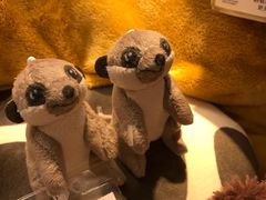 -宜家家居(四元桥商场店)