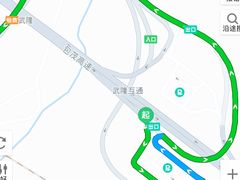 19武隆出站的路线-中国石化加油站(武隆服务区北侧站)