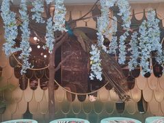 门面-雀蓝川菜(奥体广场店)