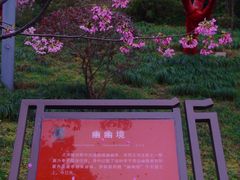 -乌山风景区
