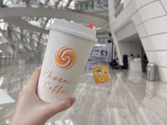-凤凰中心