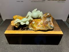 -大连自然博物馆