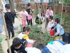 -斯坦丁国际幼稚园(驿都校区)