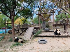 -上海野生动物园