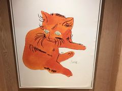 -MOCHA明星猫咖(田子坊店)