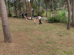 -铁山坪森林公园