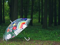 -蜀冈西峰生态公园