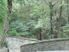 -香山公园