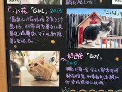 -小时光咖啡馆(开森度假森林店)