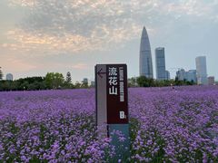 -深圳湾公园(南山区)