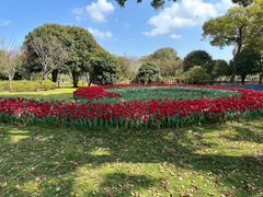 -上海鲜花港