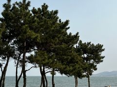 -青岛海泉湾度假区温泉