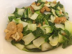 -苏启渔港(云南北路店)