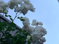 -无名小酒馆·湖北私房菜(昙华林店)