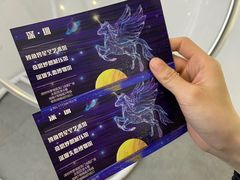 -深圳独角兽星空艺术馆