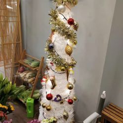 -摩睫+皮肤管理·科学美容中心