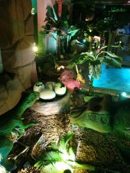 -恐龙探索乐园(磁器口店)