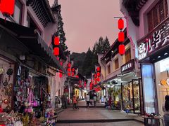 -九华山聚龙大酒店