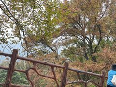 -广州市石门国家森林公园