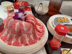 -蜀大侠火锅(总府路店)