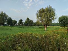 -汉长安城未央宫国家考古遗址公园