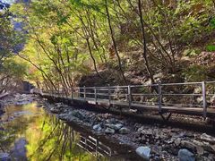 -九龙潭景区