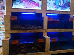 水产区-潮粤香海鲜酒楼(沙湖店)
