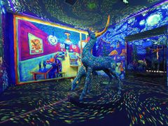 -天津梵高星空艺术馆(天河城旗舰店)