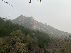 -北京凤凰岭