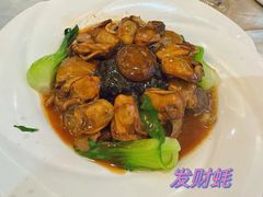 -有腥气私房菜·寻味顺德