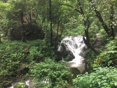 -莫里热带雨林景区