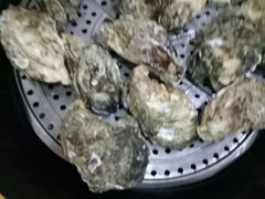 -蚝专家(北滘店)