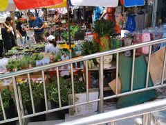 -宝鸡东道花鸟鱼虫市场(吉利花园商场店)