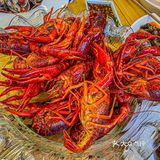 吃过推成山一样的小龙虾🦞塔么？