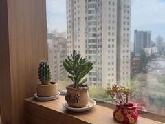 -阿吾罗·月咏精致日料(港汇恒隆广场店)