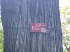 -香山公园-东宫门售票处