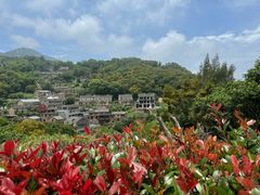 -花竹村