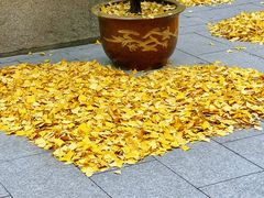 -龙华寺