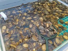 -集品鲜湾·蒸汽海鲜自助料理(青岛银座和谐广场店)