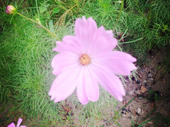 iphone_upload_pic-延庆农家院
