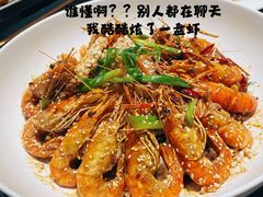 -三强鸽子(中原路店)